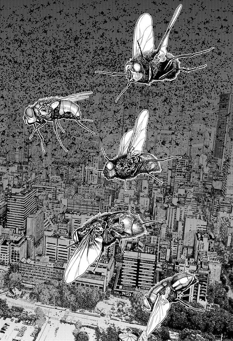 Chapter 186 Image(24)
